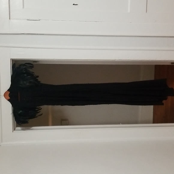 Floor length gothic gown with feathers - Picture 6 of 9